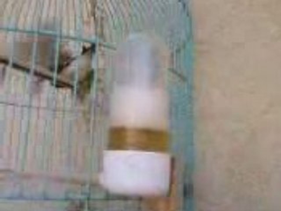 Soiré alexandre - alcolique c dfamille