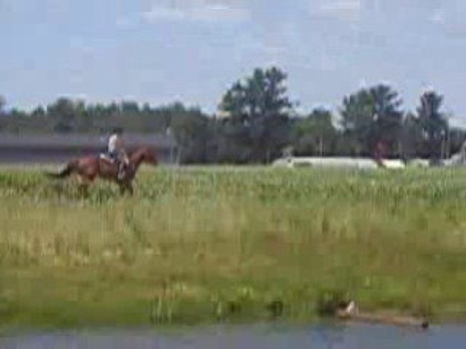 Petite course dans les champs