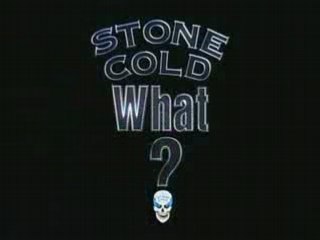 Stone Cold Steve Austin - What? Part 1
