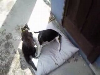 psy4 de la rime a colmar