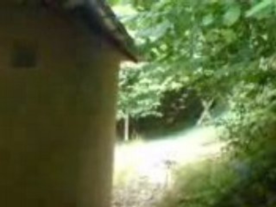 airsoft