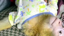 uper_video_1790116664565034