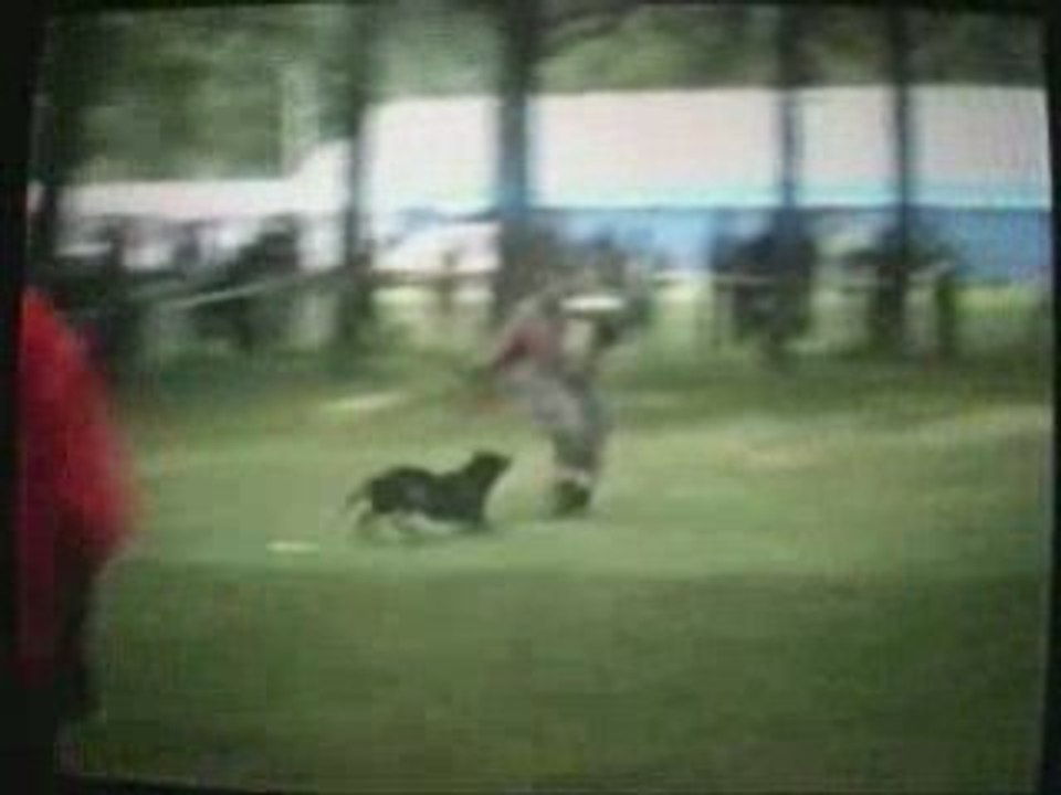 Eros des crocs sanglants