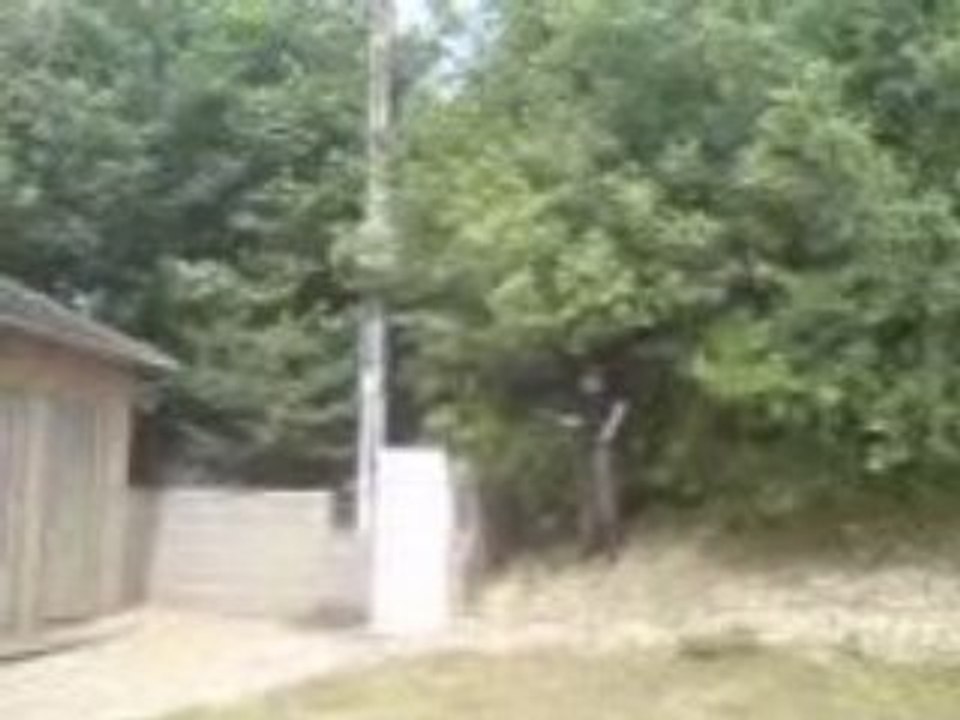 airsoft