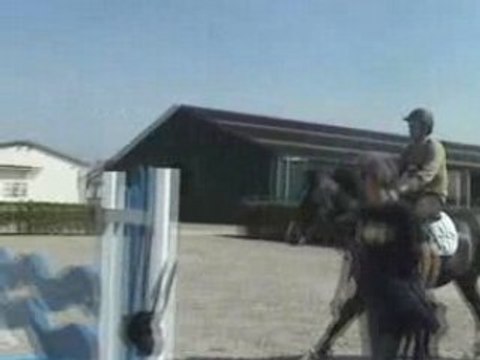 Yegua de 5 años por Heartbreaker