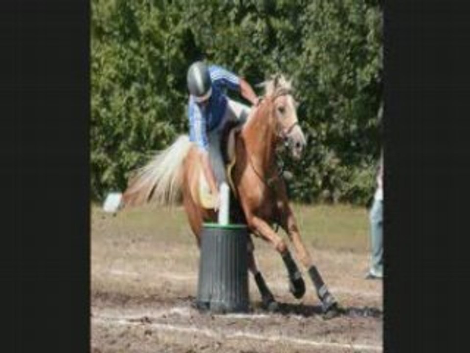 Lamotte2008_0001