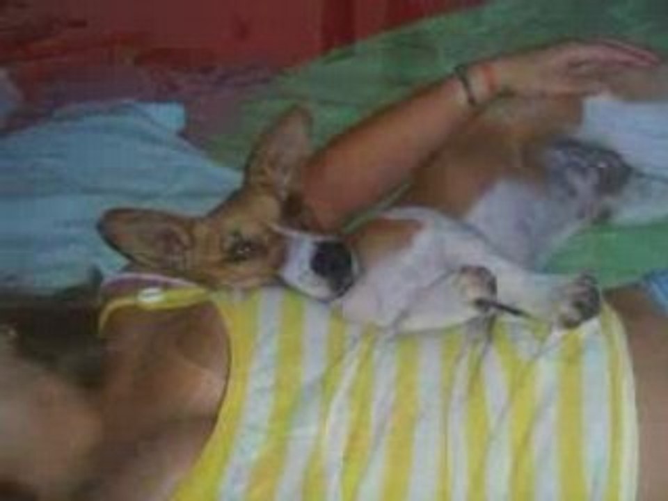 Cody 7 mois