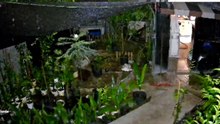 Impressionante! Imagem mostra chuva invadindo casa no Bairro Floresta e destruindo o que havia no quintal