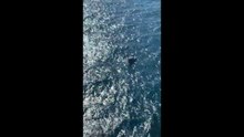 Pescadores são resgatados pelo Notaer