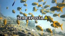 A amostra abissal que emite sinal de batimento cardíaco invertido