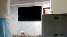 stream (3)