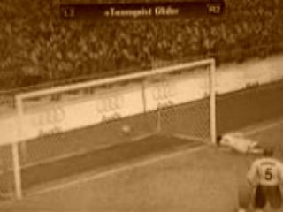 retourné du moltes dedicace au grand zen