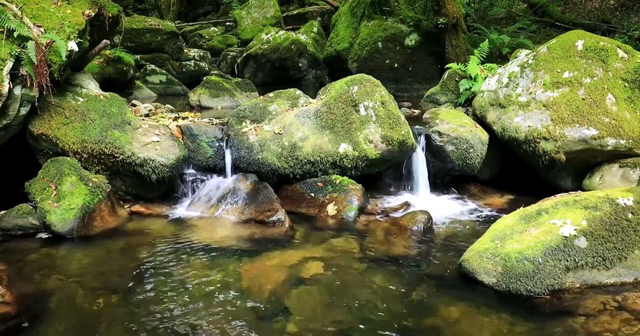 🌿 Musique Relaxante & Ruisseau de Montagne
