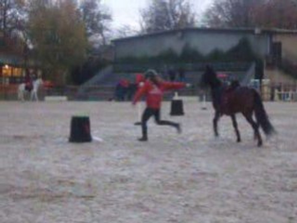 Concour Marolle 11 Novembre 2007