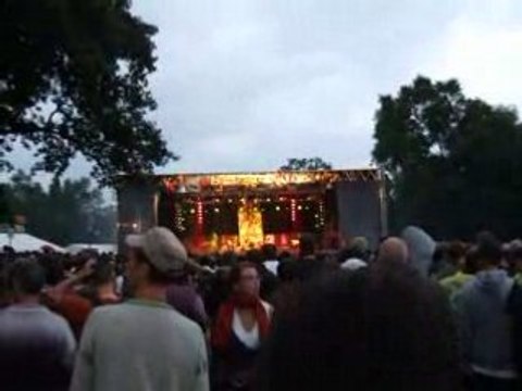 Alborosie reggae geel 2008