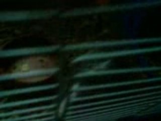 Le cochon d'inde de ma coloc est boulimique