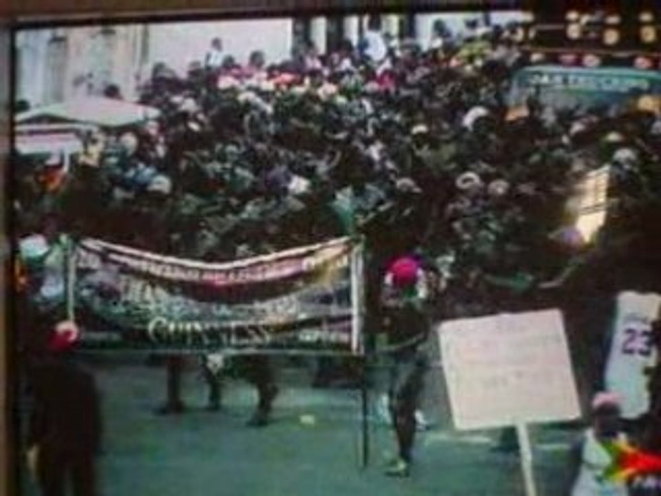 grenada carnival 2008 on t.v.