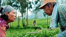 Empat Musim Pertiwi - Trailer (OV) HD