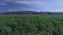 Marche Mondiale Contre la Faim - 21 mai
