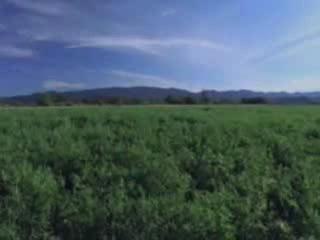 Marche Mondiale Contre la Faim - 21 mai