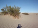 MARDI 12 AOUT - DEATH VALLEY