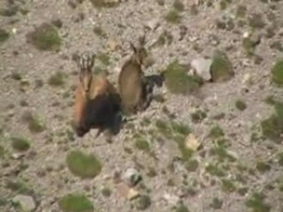 Lacs des Crêtes d’Allos (Mercantour Alpes du Sud)