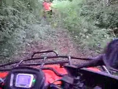 débrousaillage polaris scrambler