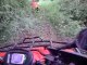 Miniature DailyMotion