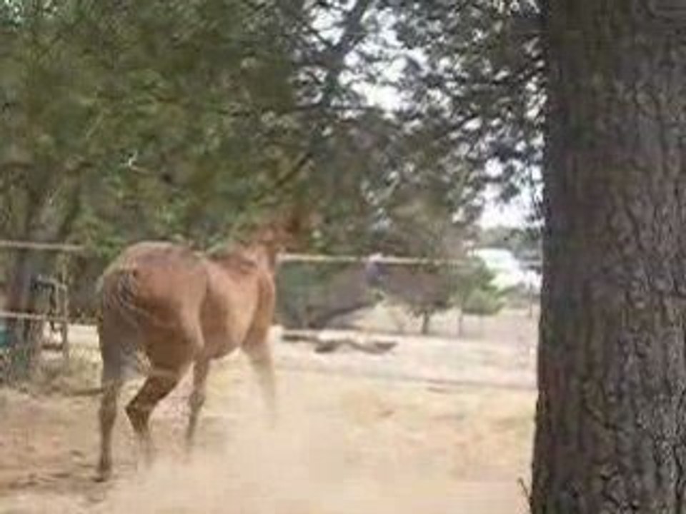 Ils sont trop beau XD