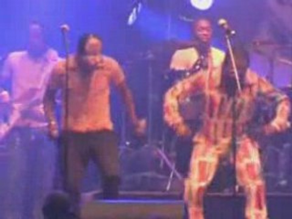suite sfinks festival