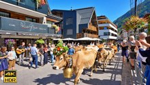 Ischgl, Austria Alpine Cattle Drive (Almabtrieb) | Traditional Tyrolean Mountain Celebration in 4K