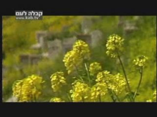 ספר הספרים,ספר הזוהר