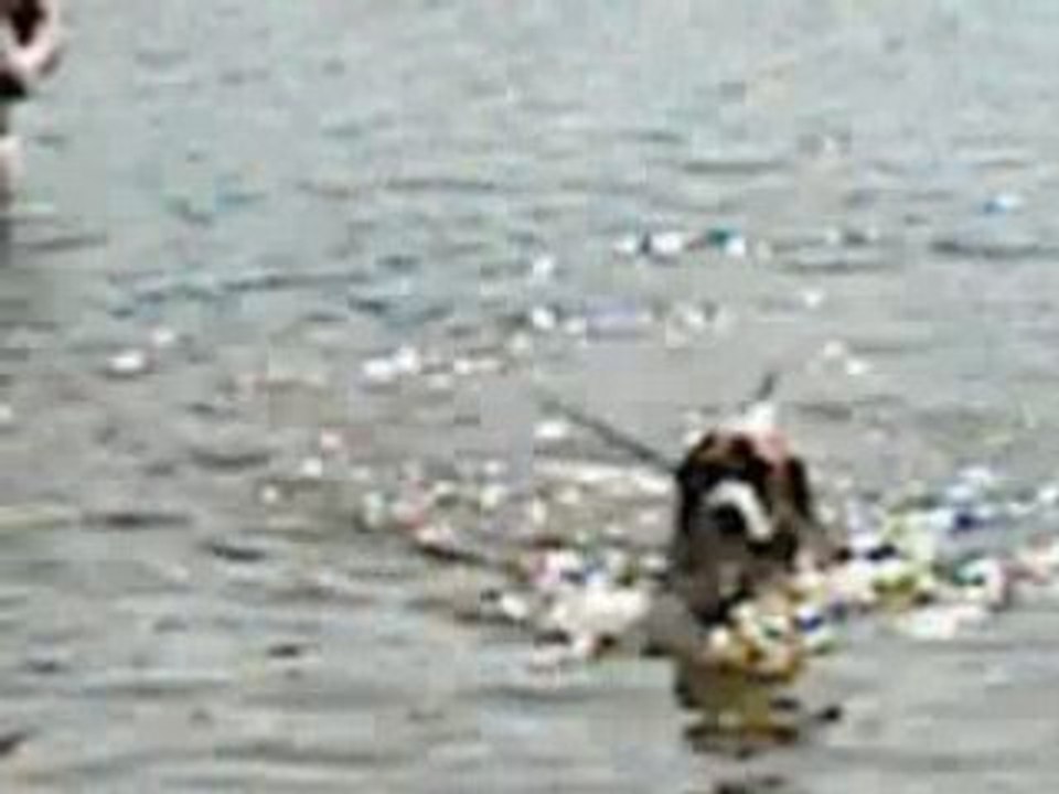 Première baignade pour Creamy