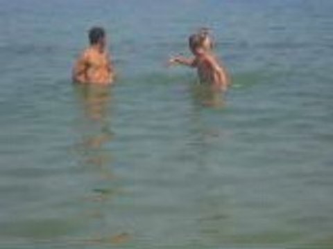 Alerte a caroubier(azeffoun) 7 tizi ouzou kabylie algerie