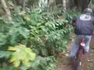DH session 12 Aout , Cam Embarquer Tibob