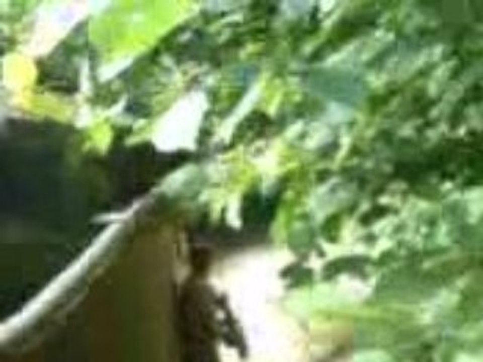 Dim 10 aout airsoft 9ème