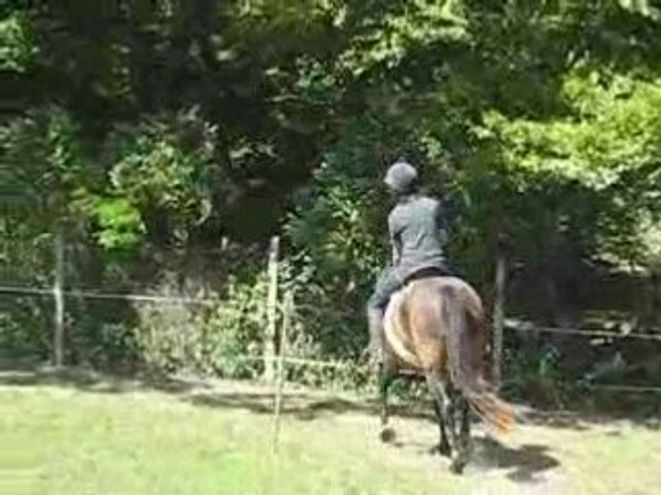 Cricri appareil 045