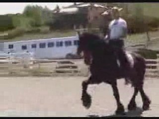 Vidéos de Perles Noires