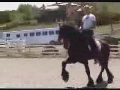 Vidéos de Perles Noires