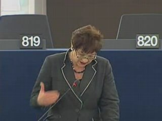 Sarah Ludford on Common consular instructions