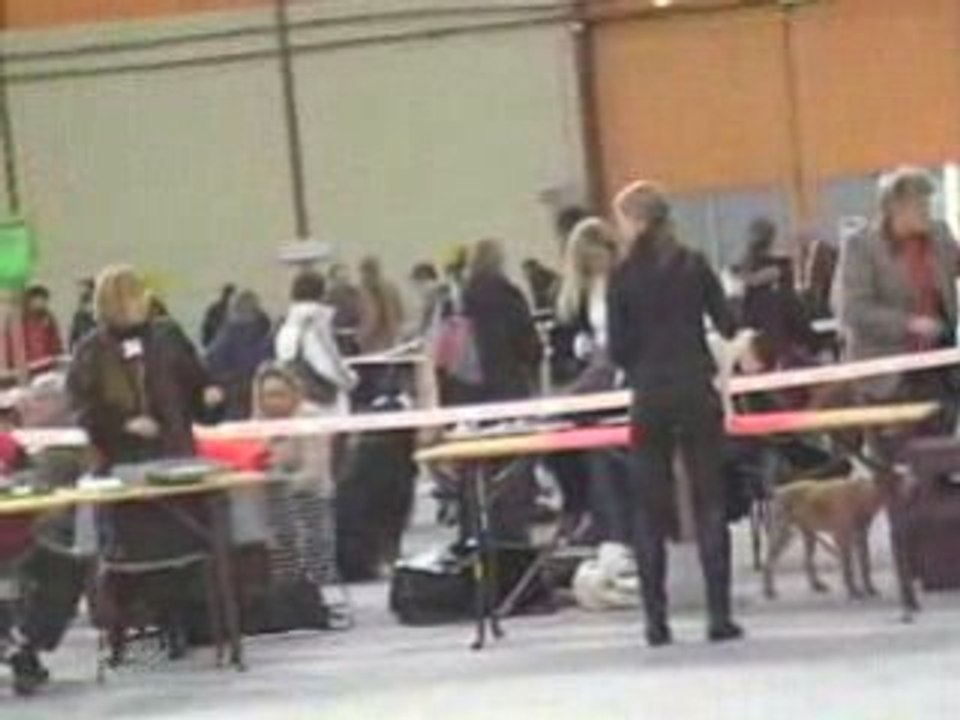 02 02 2008 expo de Chalons en Champagne COOKIE