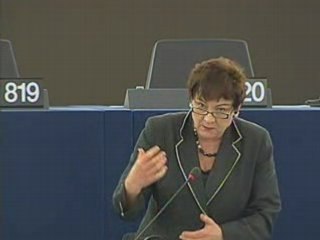 Sarah Ludford on Common consular instructions