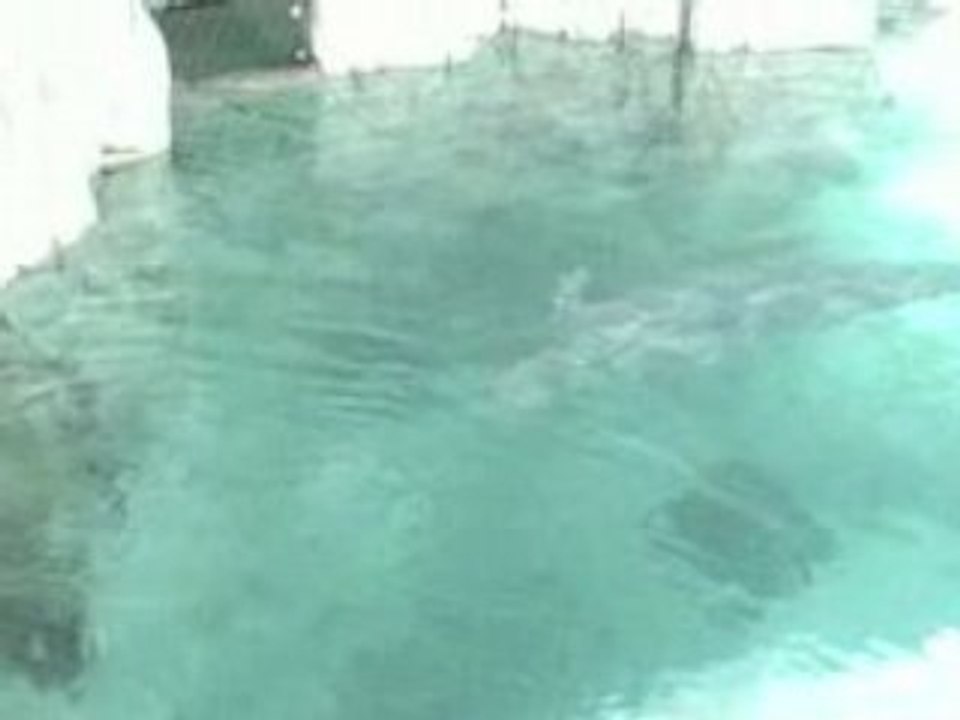 2008-08-13 grand aquarium de valence en ESPAGNE juillet 2008