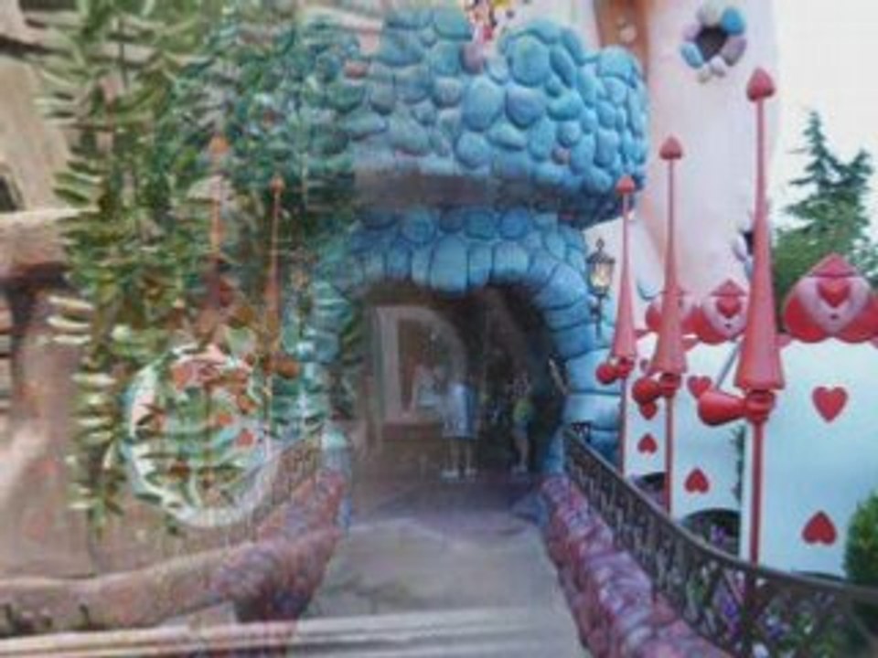 Summer 2008