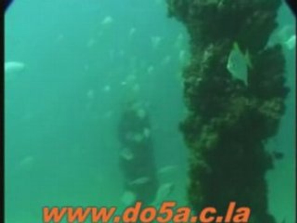Horiya ظهور حورية البحر