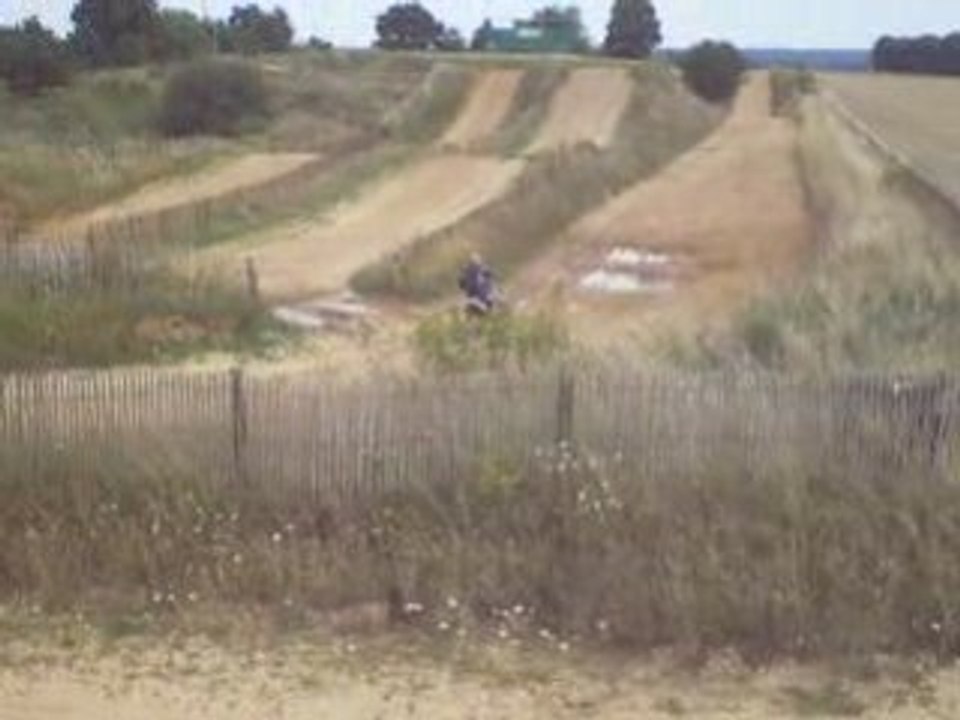 yam55