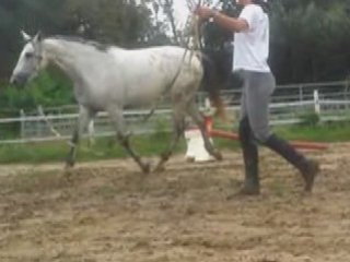 Lydie travail a pied