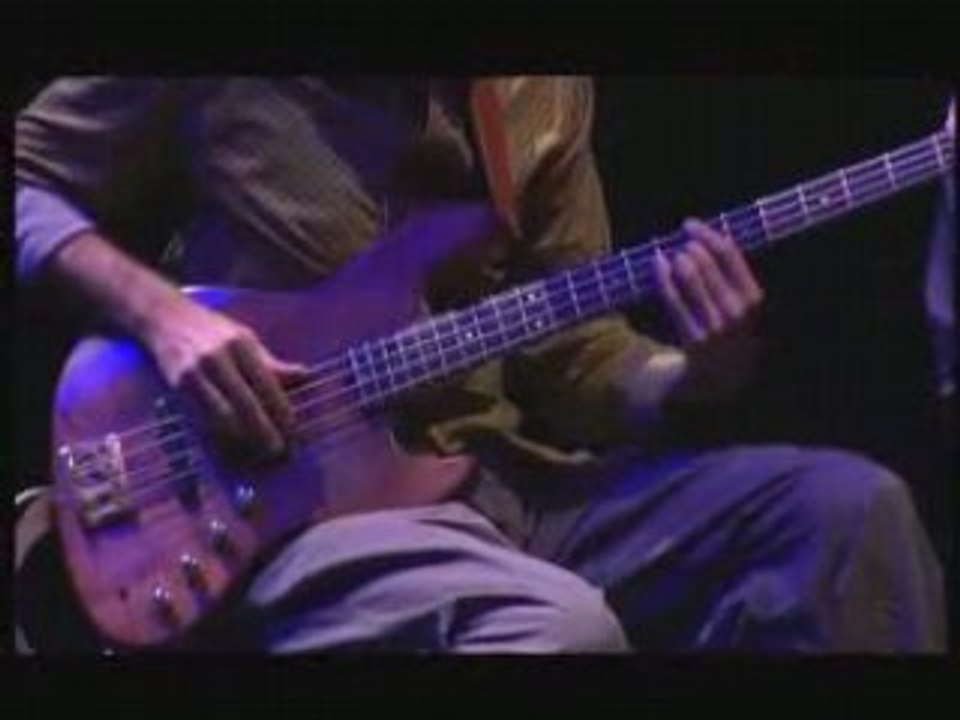 Vicente amigo flamenco