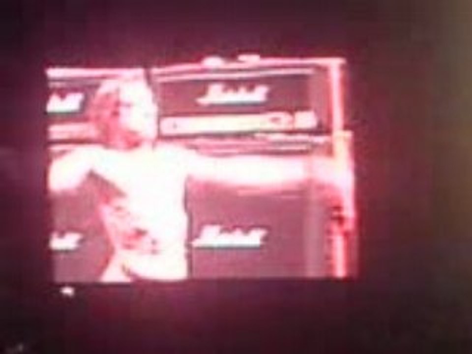 iggy pop 2008