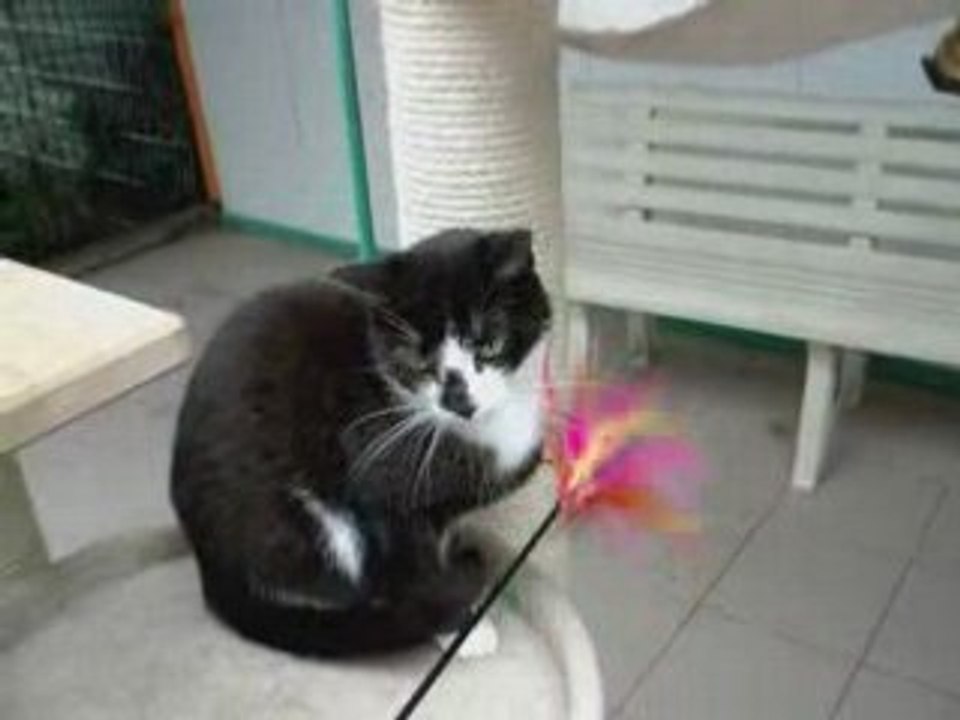 Volga, au refuge depuis 2005